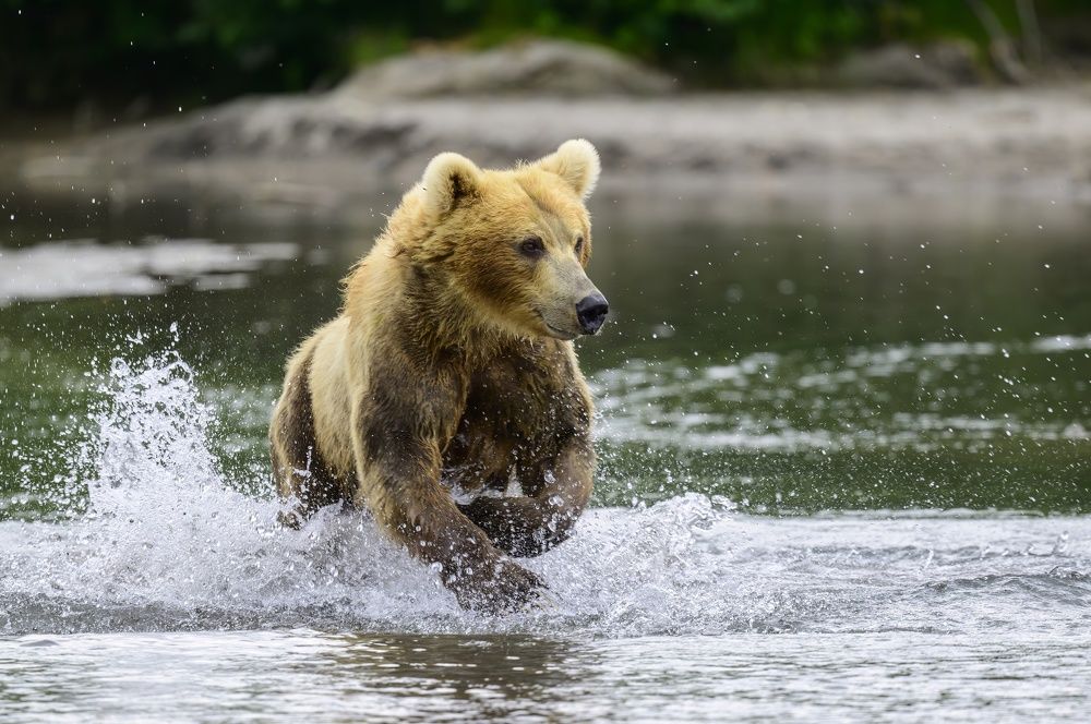 Photograph by Sergey Puponin