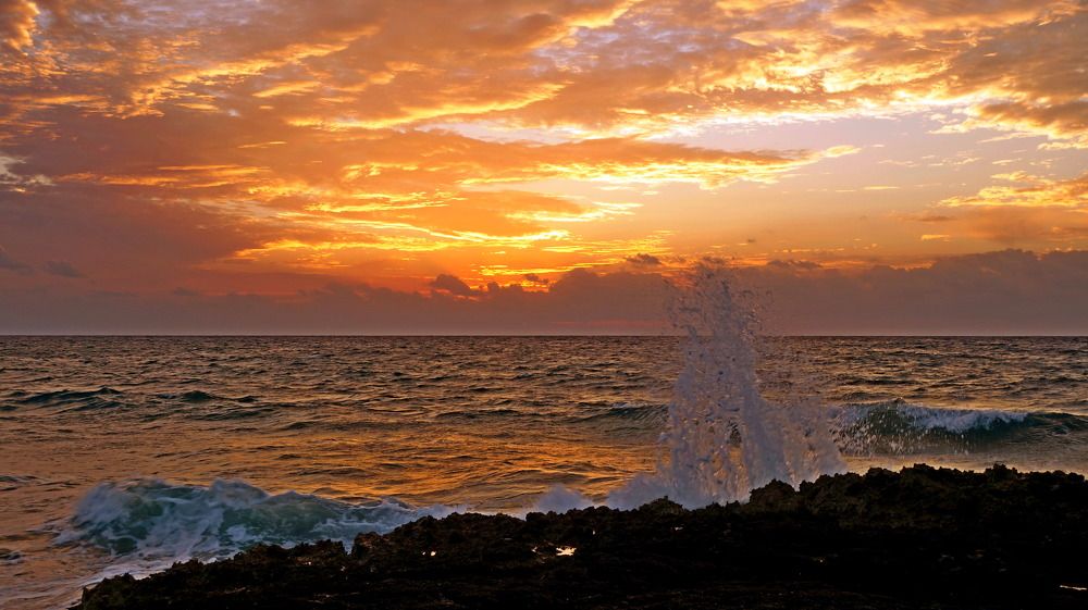 Photograph by Александр Линник
