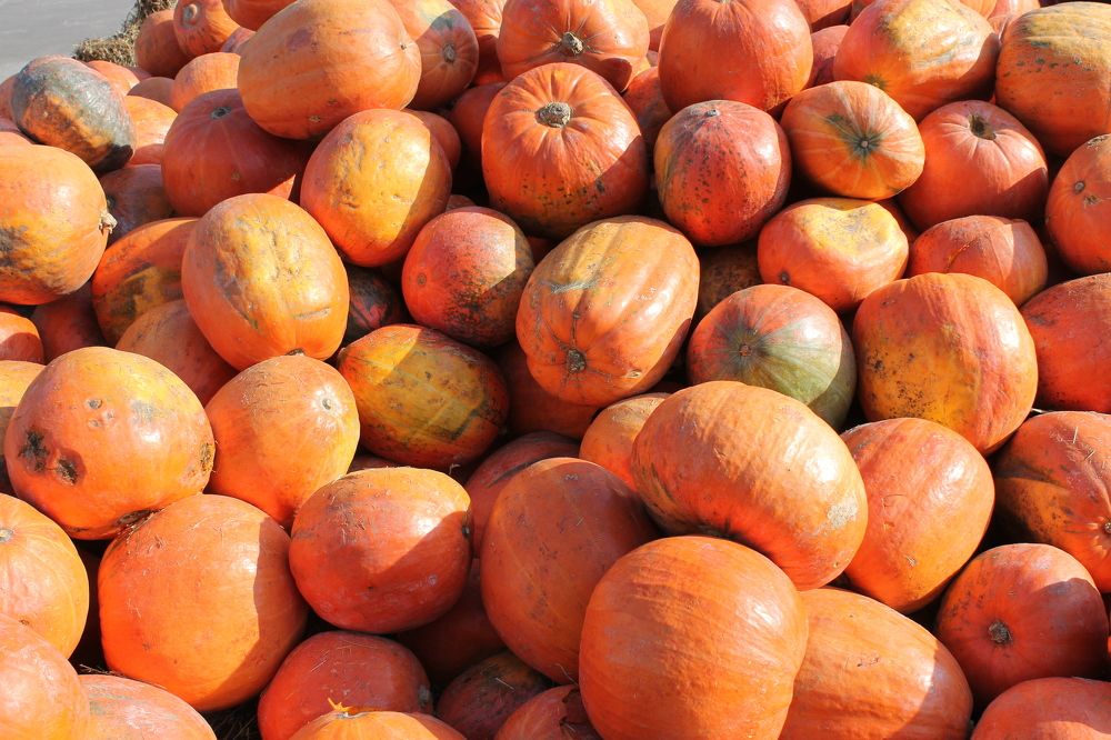 Photograph by Екатерина Хозяшева