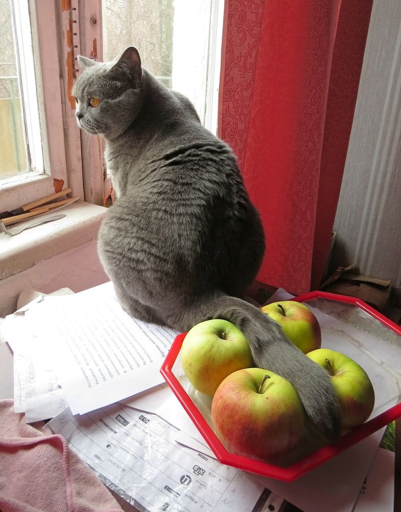 Photograph by Елена Казарина