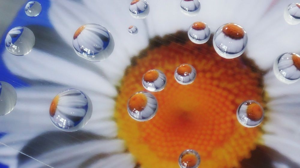 Photograph by Елена Силантьева