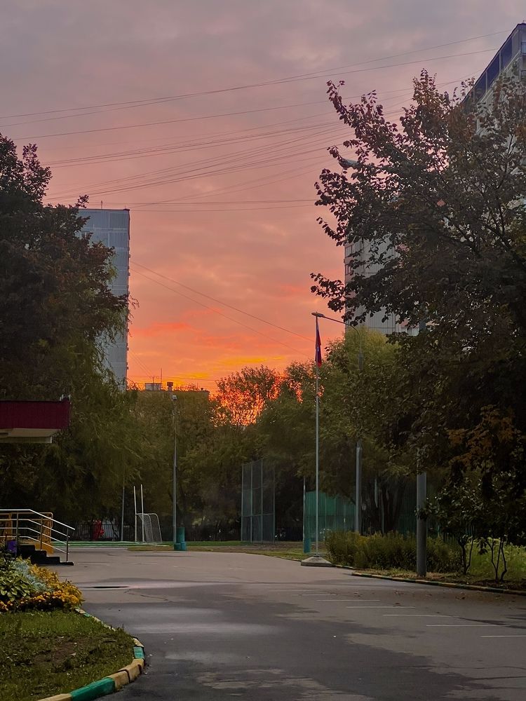 Photograph by Tatiana Grinko