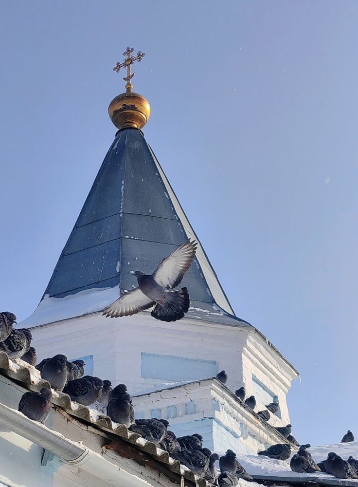 Photograph by Полина Мальцева