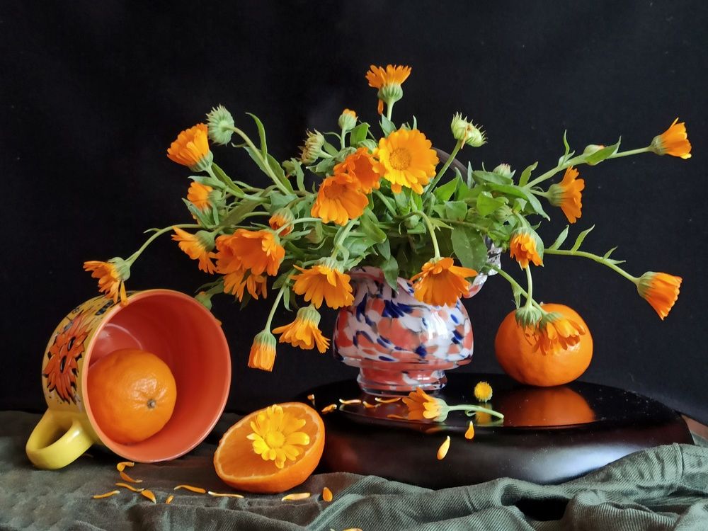 Photograph by Новикова Елена Сергеевна