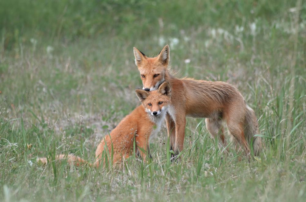 Photograph by Вероника Романенко