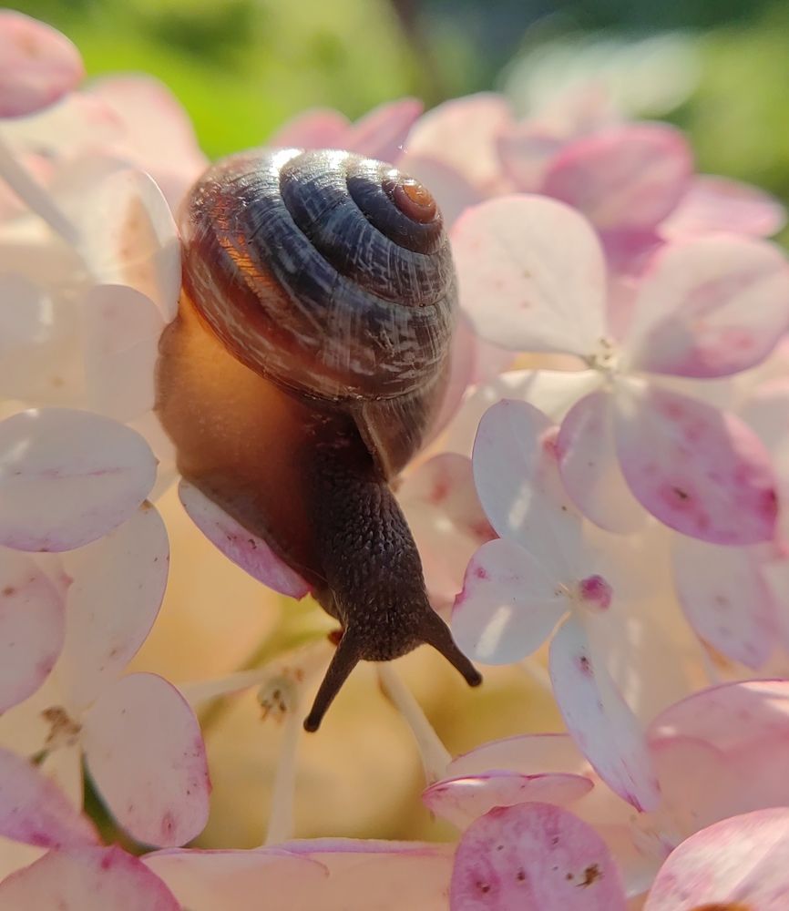 Photograph by Полина Мальцева