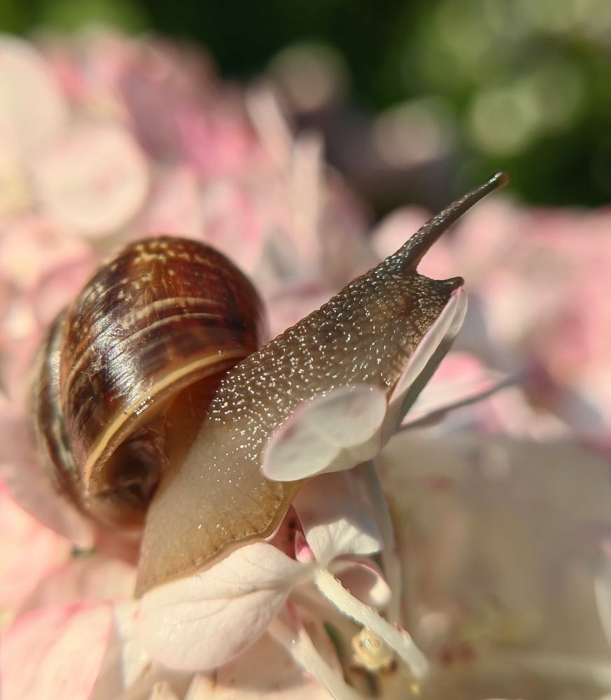 Photograph by Полина Мальцева