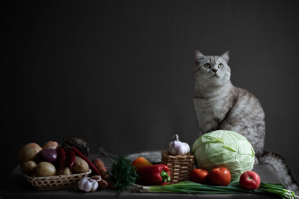 Photograph by Анна Новосельцева