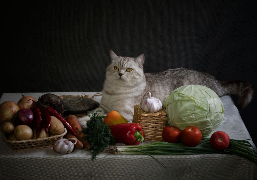 Photograph by Анна Новосельцева