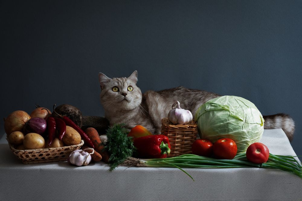 Photograph by Анна Новосельцева