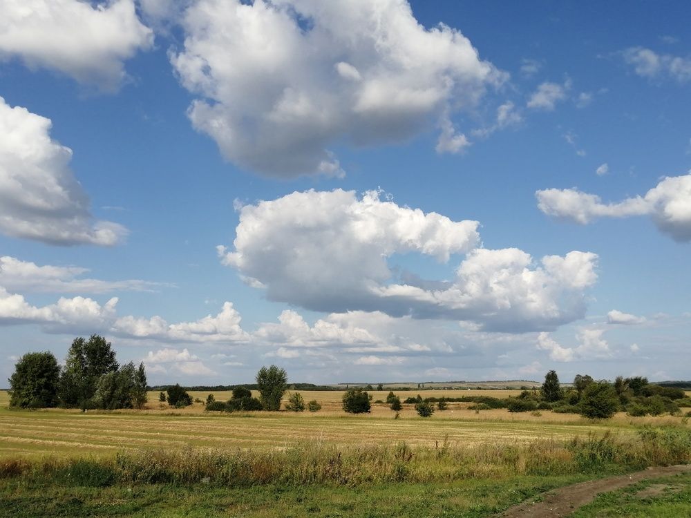 Photograph by Виктория Сид