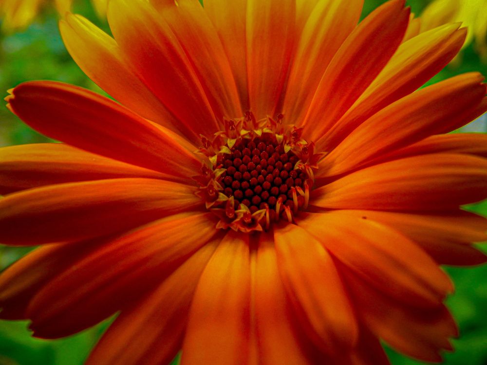 Photograph by Вероника Архипова