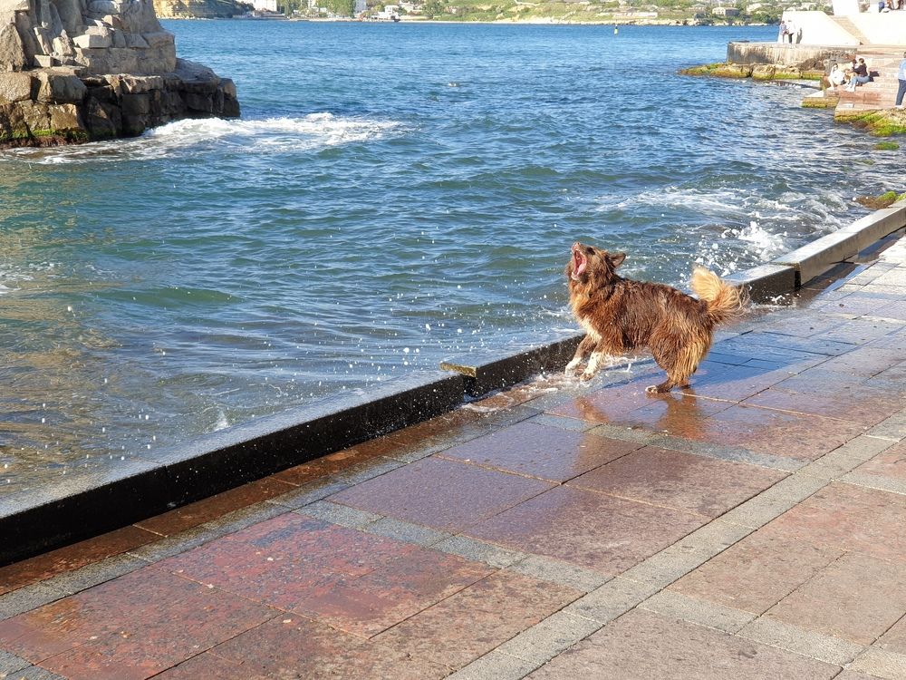 Photograph by Сергей Борисов