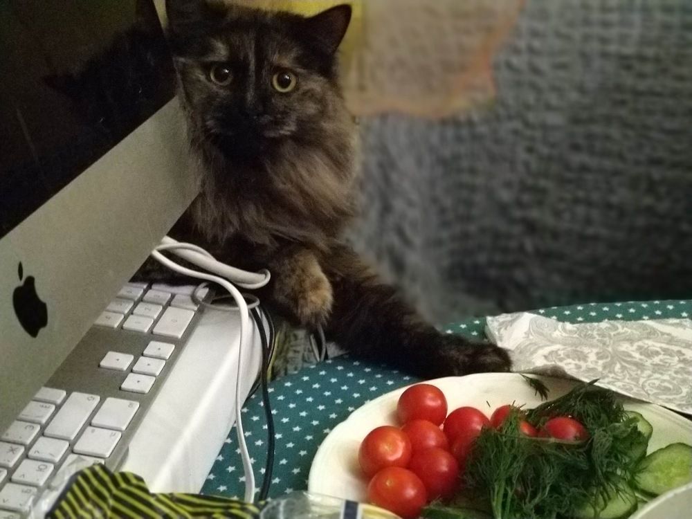 Photograph by Кира