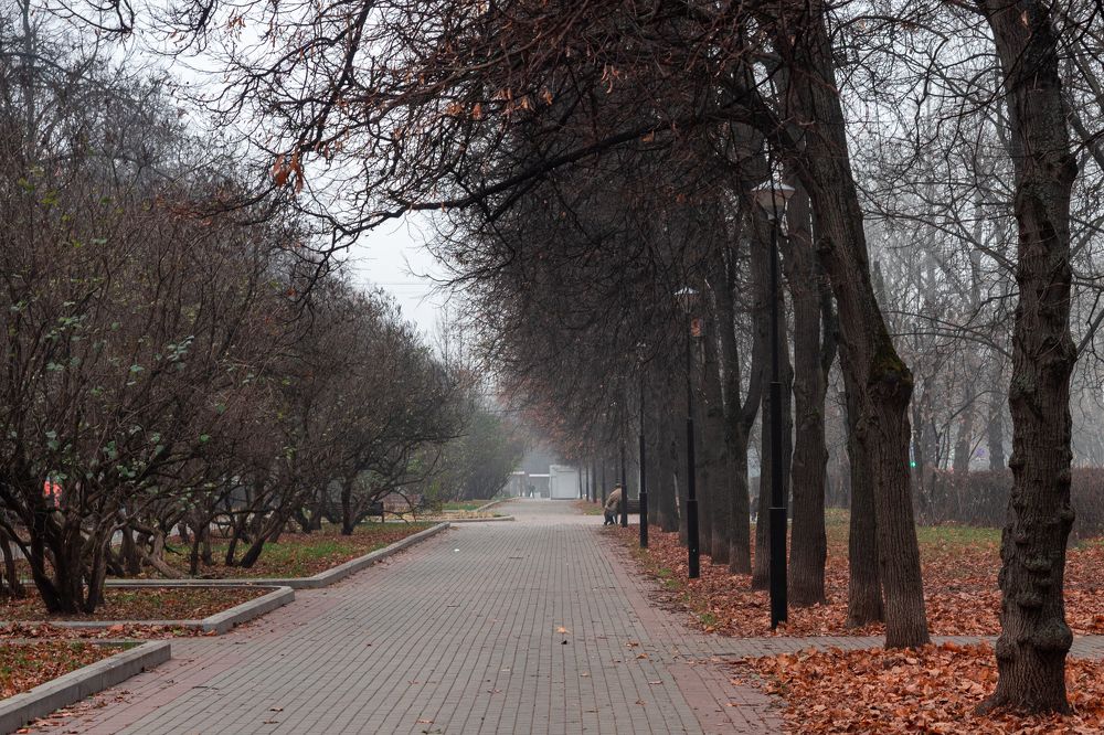Фотография автора 