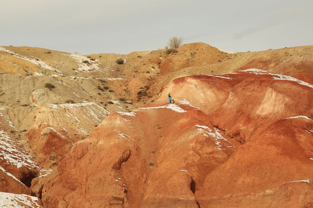 Photograph by Дмитрий Петухов