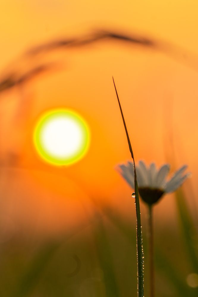 Photograph by Евгений Калагаев
