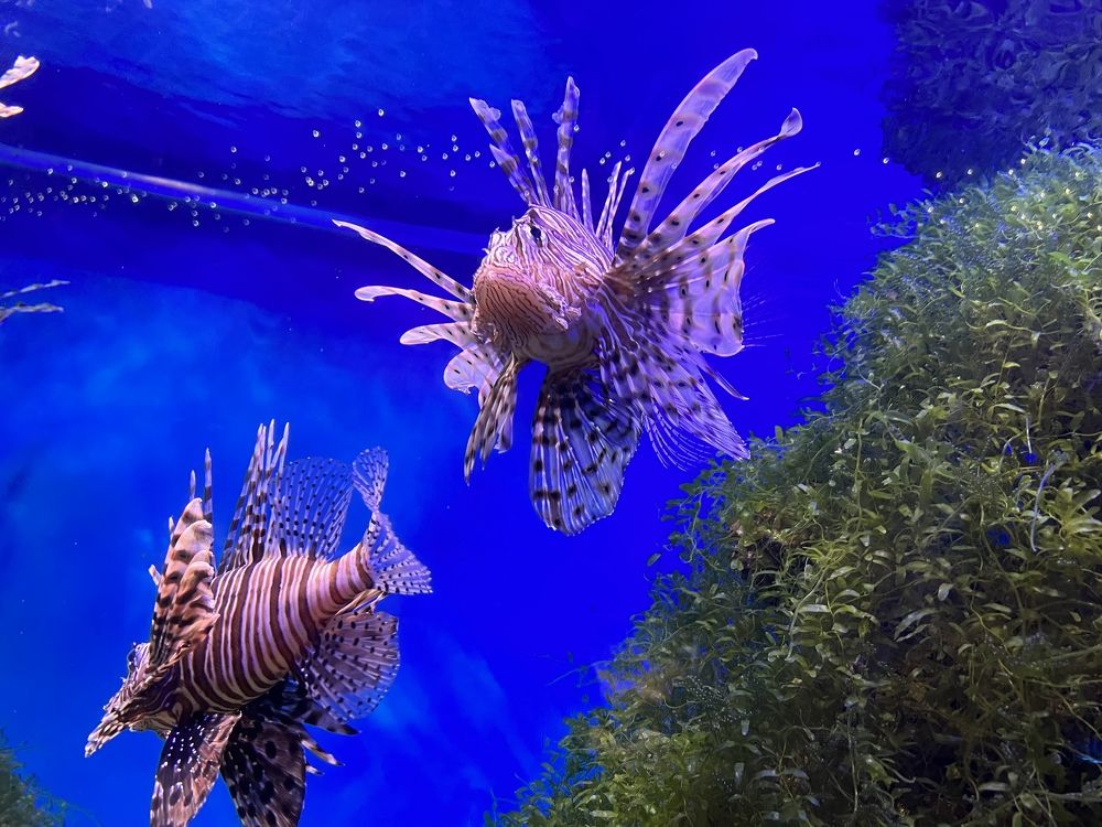 Photograph by Кира