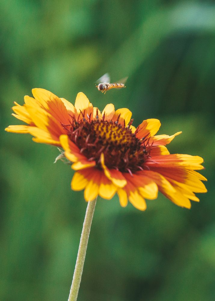 Photograph by Александра Безродная