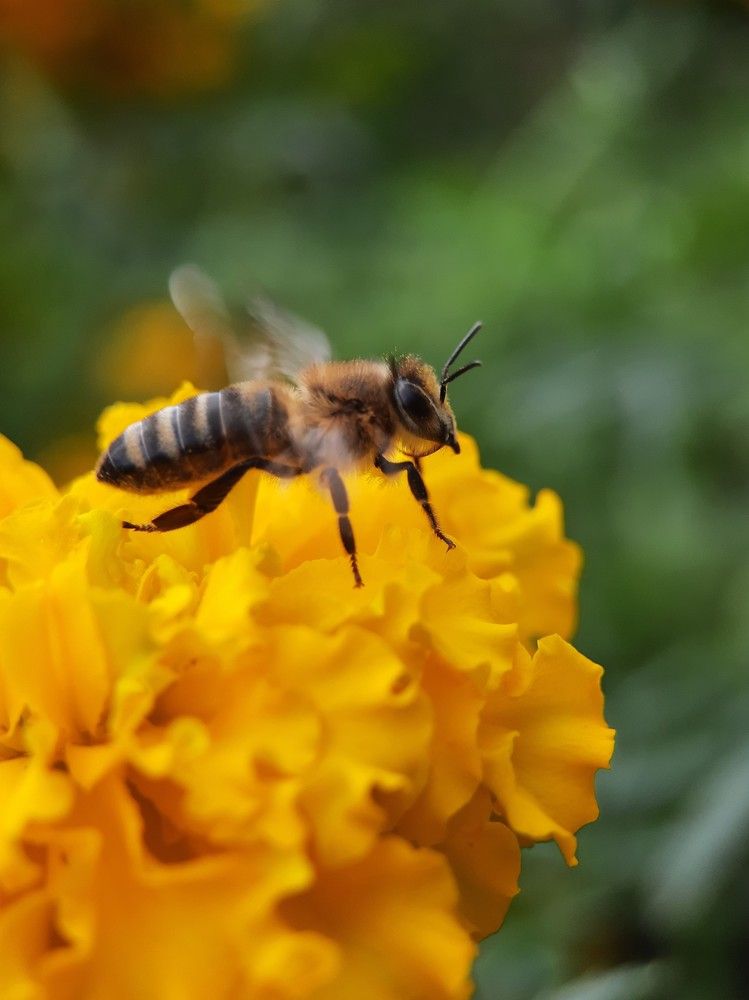 Фотография автора Ольга Кунакова