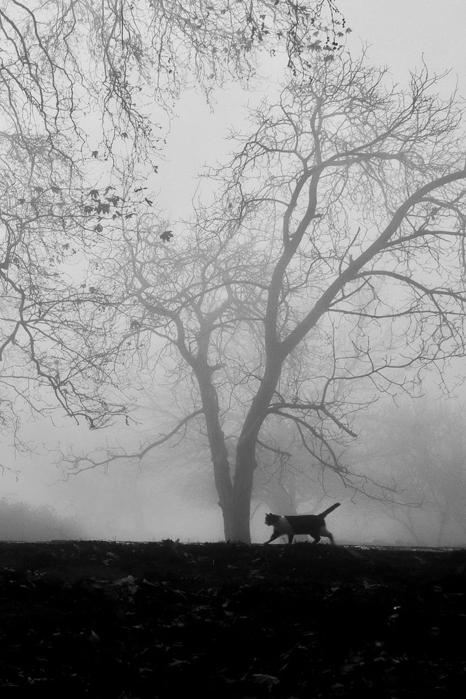 Photograph by Nesrin Öztürk