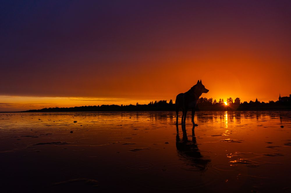 Photograph by Vitaly Zubkov