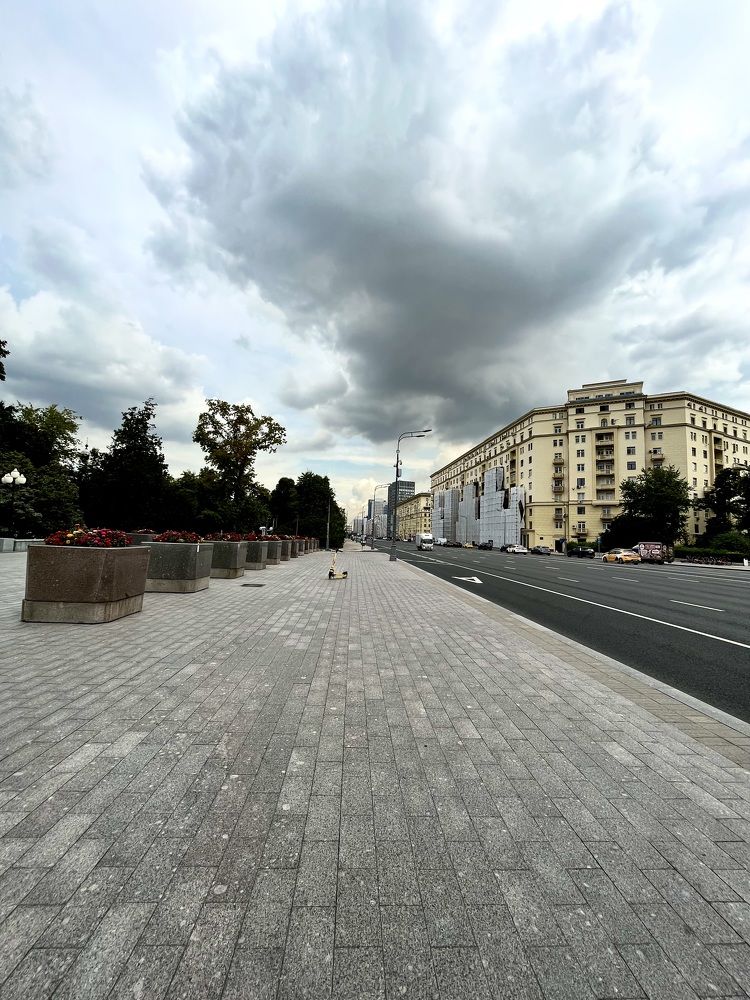 Утро в августе