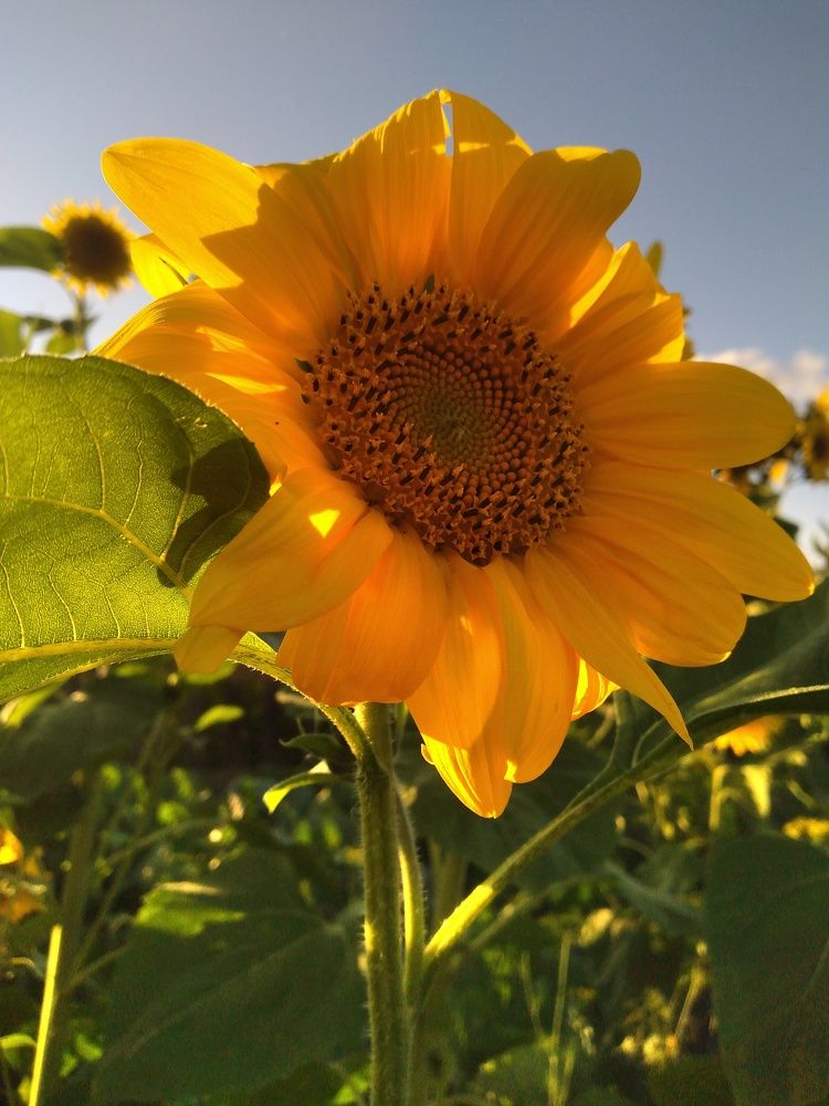 Photograph by Татьяна