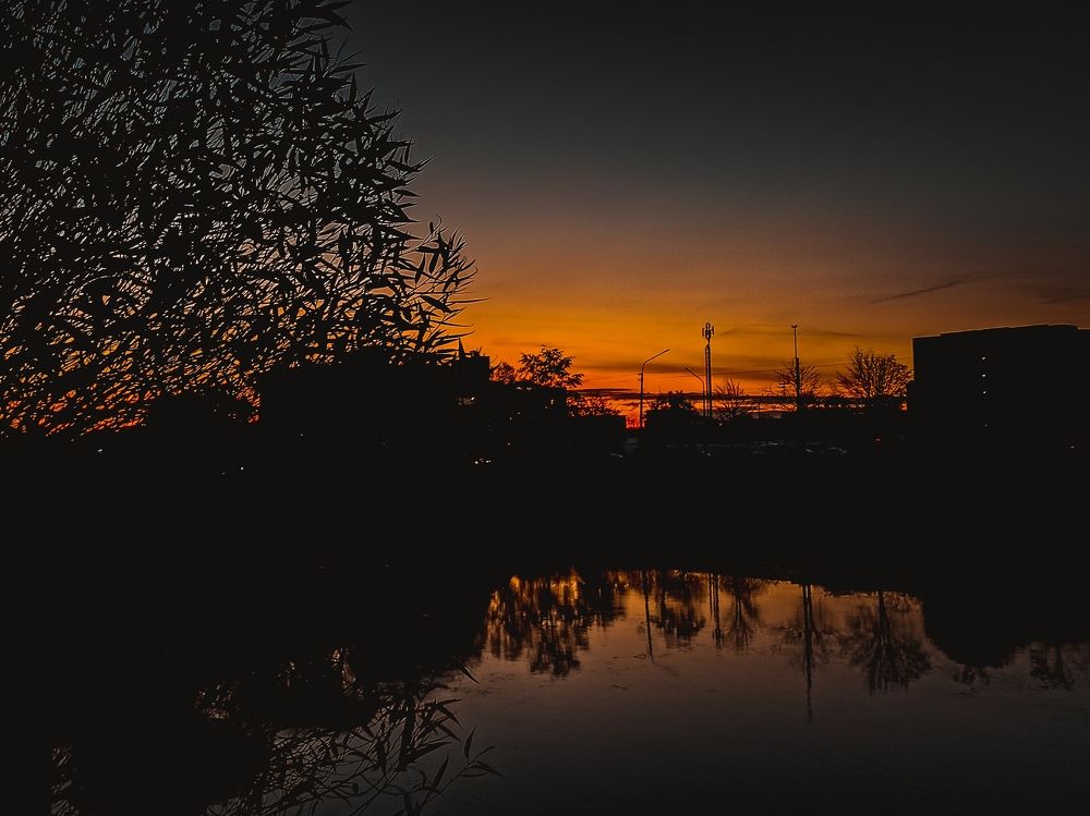 Фотография автора Ксения Вабищевич