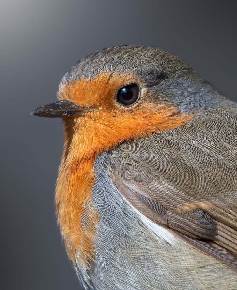 Photograph by Дарья