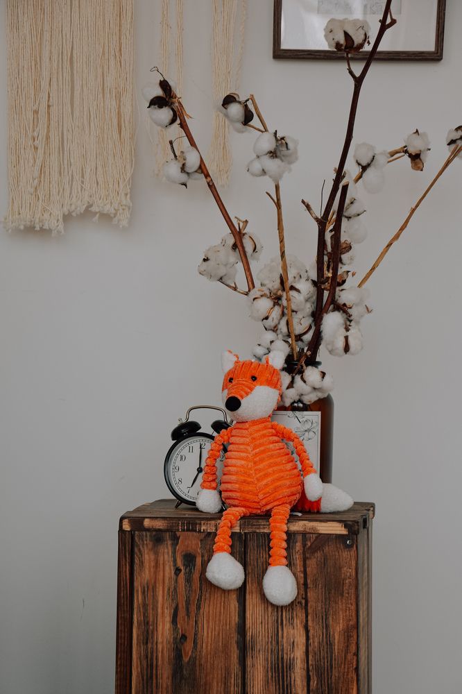 Фотография автора Ксения Вабищевич