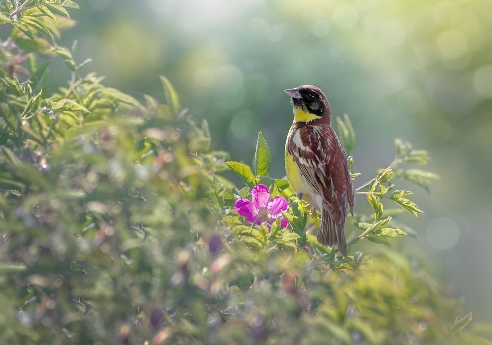 Photograph by Дарья