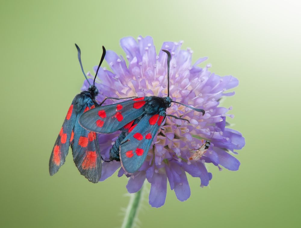 Photograph by Дарья