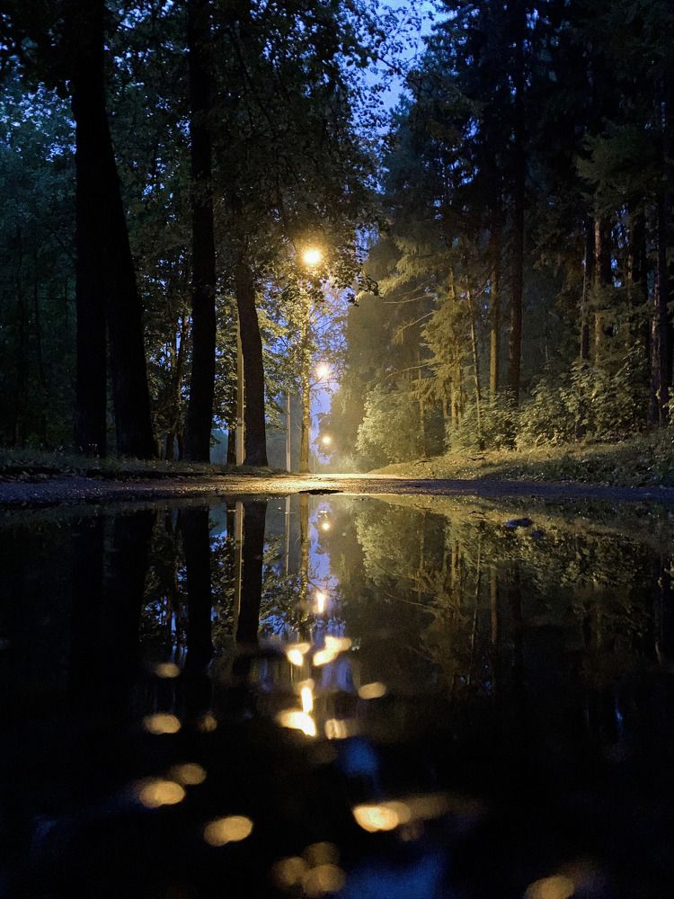 Photograph by Инна