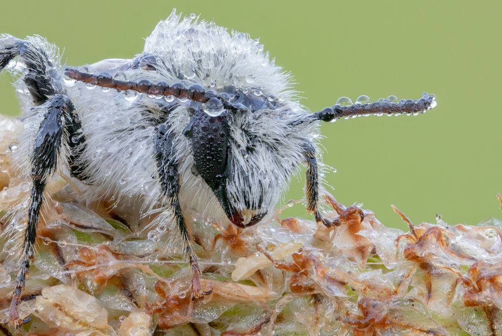 Photograph by Глеб Коровко