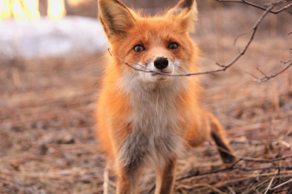 Photograph by Александр