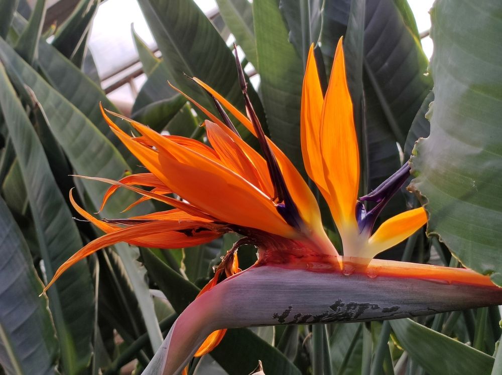 Photograph by Надежда Батракова