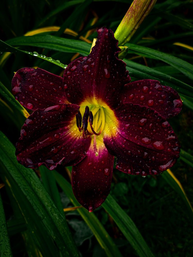 Photograph by Евгений Порсов