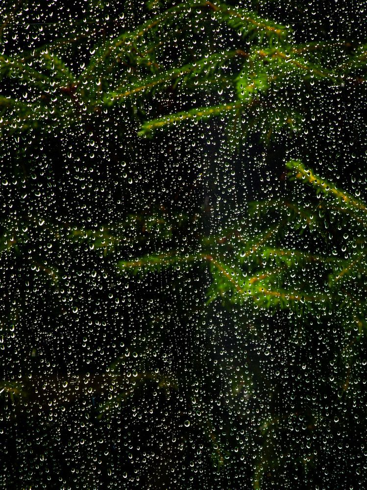 Photograph by Евгений Порсов