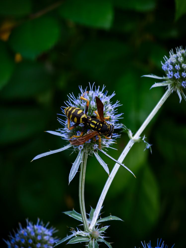 Photograph by Евгений Порсов