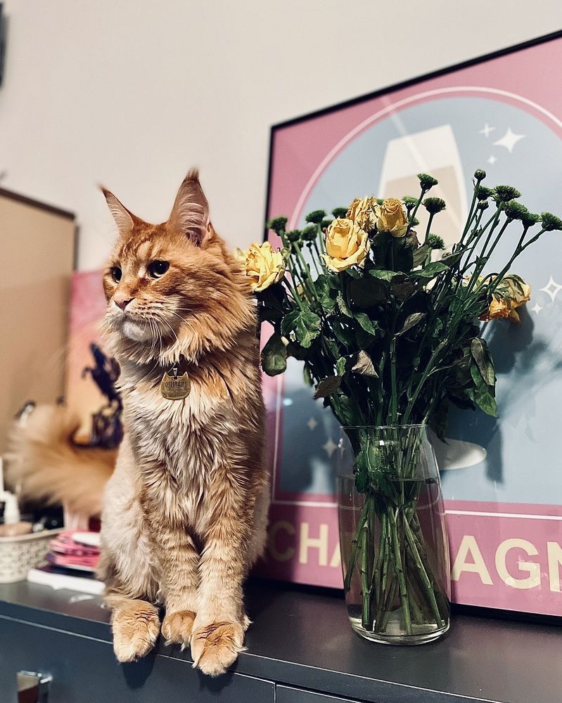 Photograph by Iuliia Akhulkova