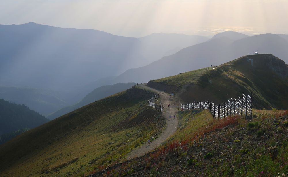 Photograph by Ольга Стоун