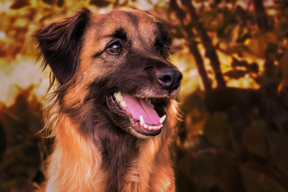 Photograph by Альфия Агзамова