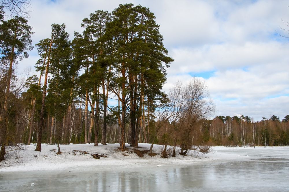 Photograph by Алексей Сальников