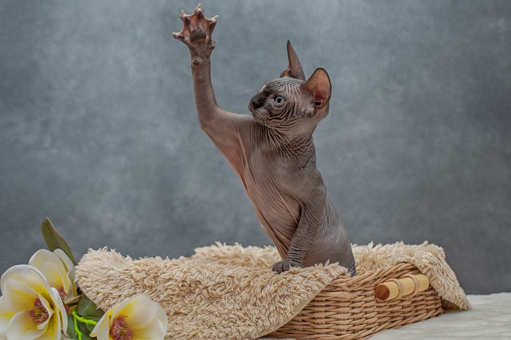 Photograph by Kovaleva Irina