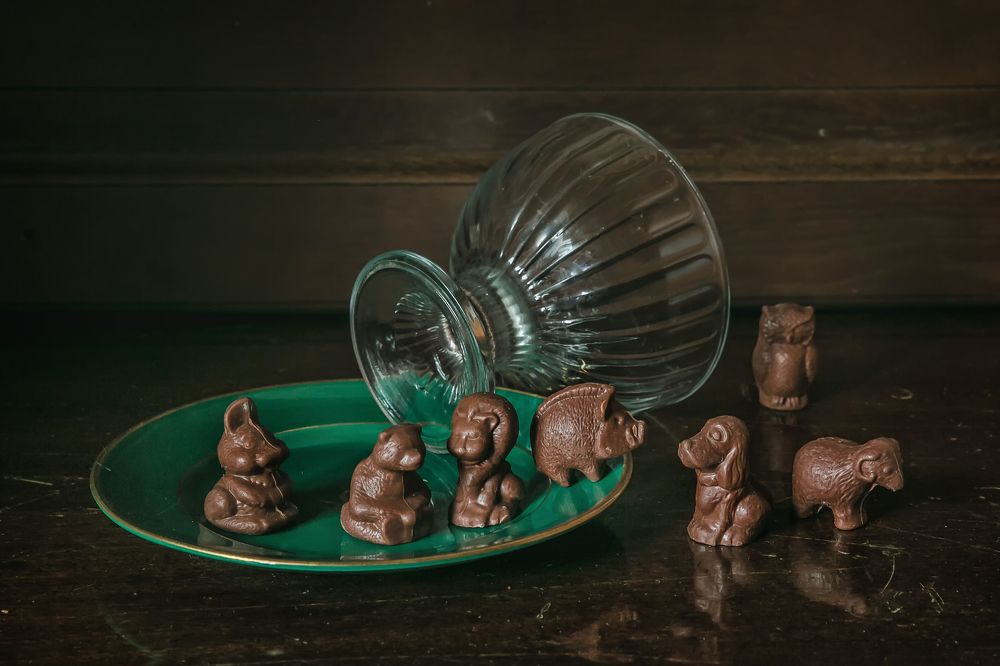 Фотография автора Анна Петина