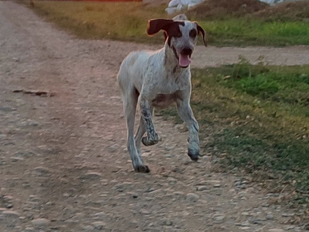 Фотография автора Таня Долгушева