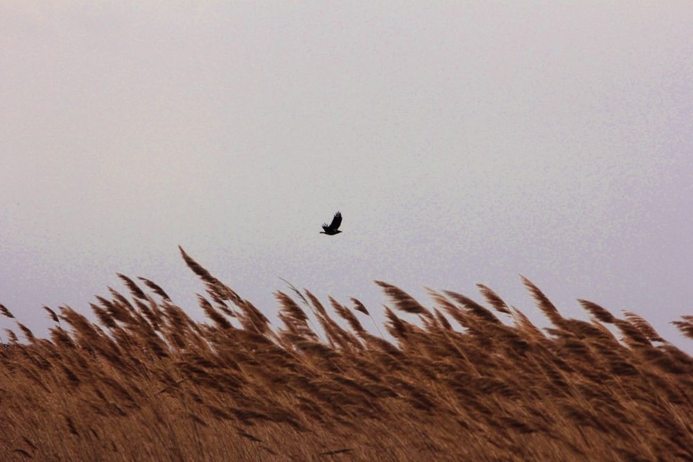 Photograph by Natalya Царева