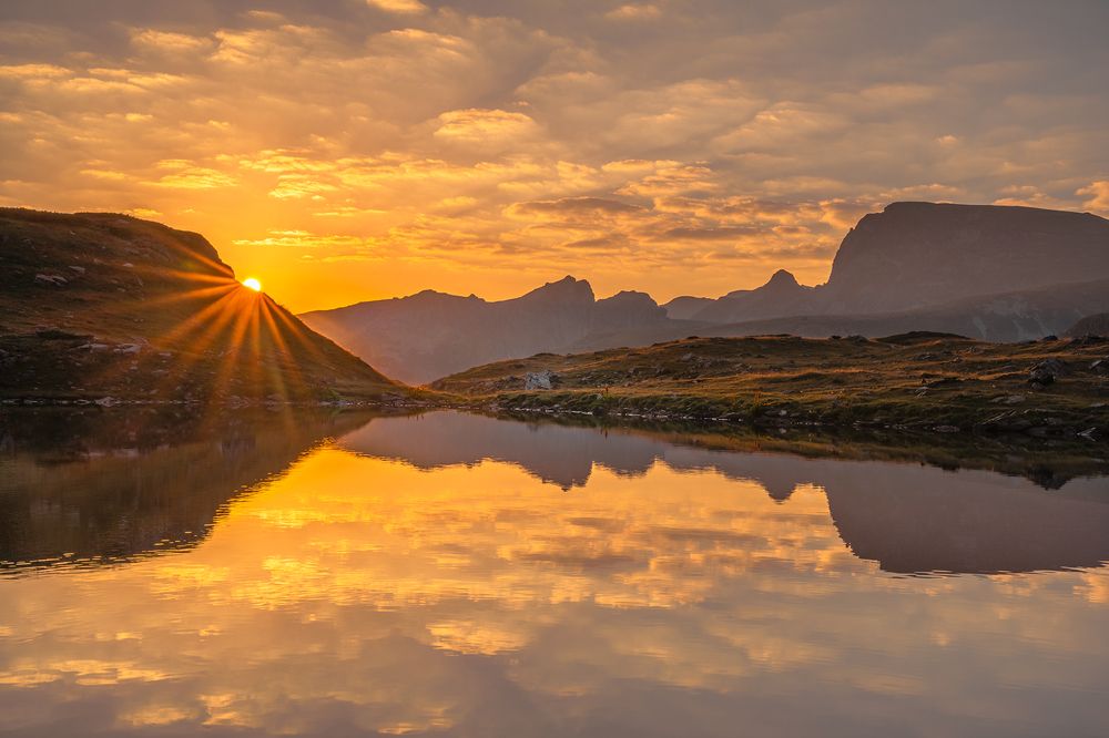 Фотография автора Александров Александър