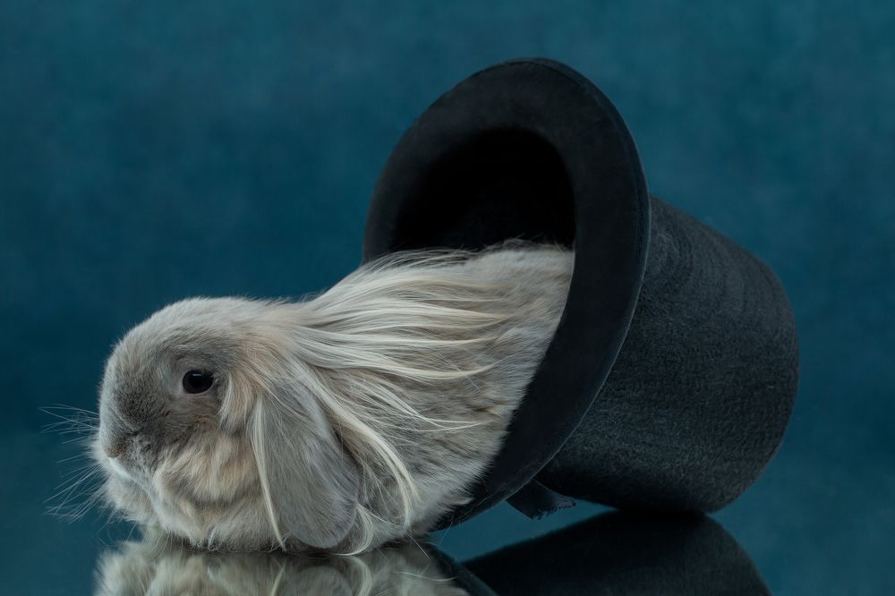 Photograph by Kovaleva Irina